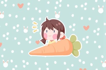 荷字取名女孩名字 荷字取名的寓意