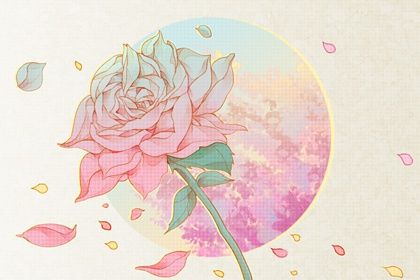 rose（无字）
