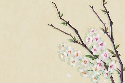 白花(无字) 白花(无字)