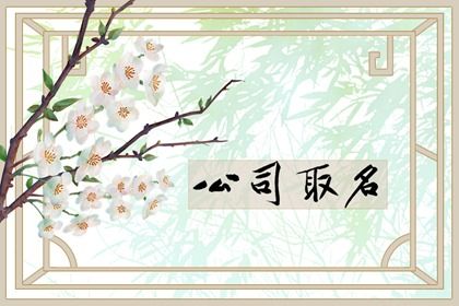 教育类公司名称大全简单大气