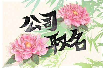 电子公司取名字大全集 电子厂名字大全