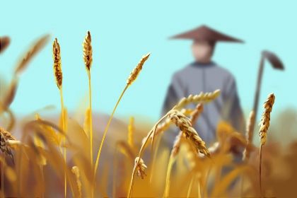 2022年小暑之后生的孩子 小暑的孩子取名字 2022年小暑之后生的孩子 小暑的孩子取名字