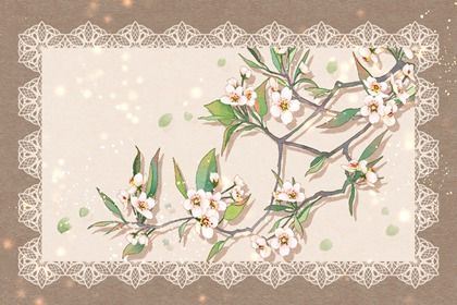 有创意的水果商标名字大全 有创意的水果商标名字大全