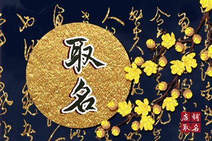 开卖衣服网店店铺男装女装童装名字 萌新可爱好名推荐