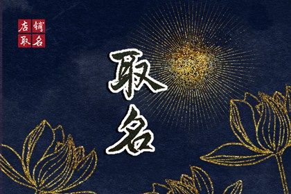 聪明有前程男孩名 独一无二的男孩名字