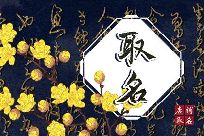吸引人的电玩城名 独特开店名字 吸引人的电玩城名 独特开店名字