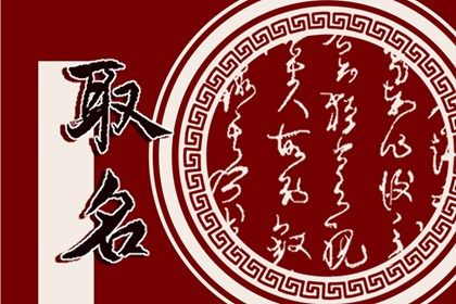 招财的绿植店名 店铺怎么起名比较好