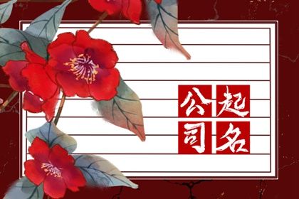 公司起名 好听的商贸公司名字大全集