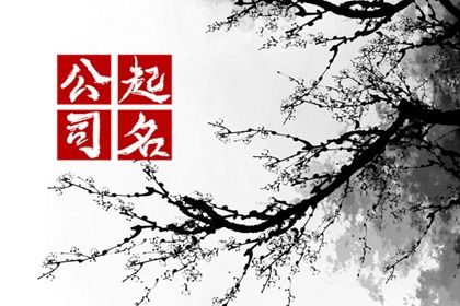 洋气的布艺名字大全 最好最旺的布艺公司取名