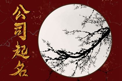 科技公司名称起名 朝气蓬勃的科技公司名字