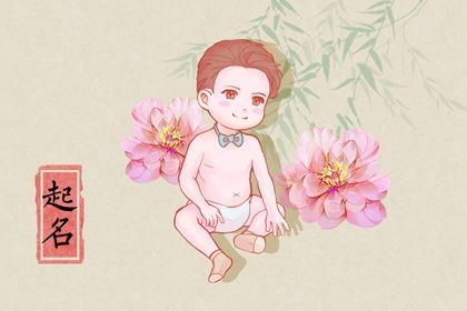 兔宝宝最火乳名满米可爱又软萌的新生儿小名