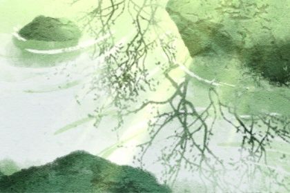 冬天生的虎命运如何应该怎么取名
