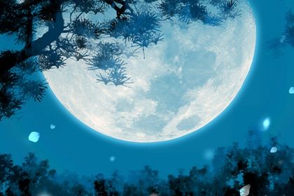 300个吉祥商贸公司名字大全 洋气的企业名字解析
