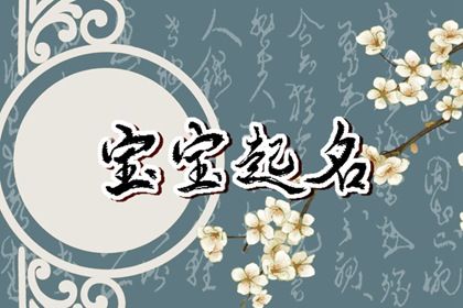 明年兔宝宝起什么名字安定健康的新生儿取名