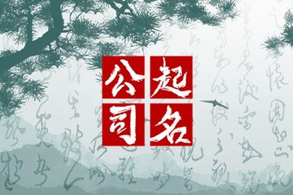 公司取名二个字推荐大全 公司起名不重名