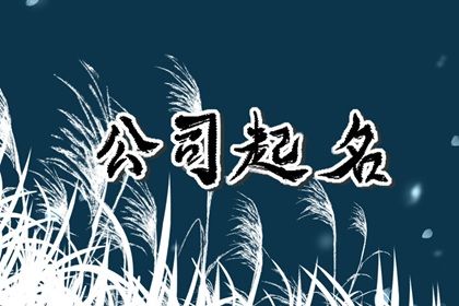 独一无二的公司名 公司取什么名字好