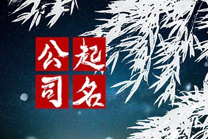 公司取名字大全 最吉利旺财的公司名字