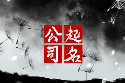 公司起名40 公司起名40