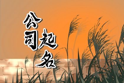 出口公司名字大全 出口公司起名好听的