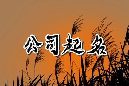 文化传媒有限公司起什么名字大气 公司取名字大全参考