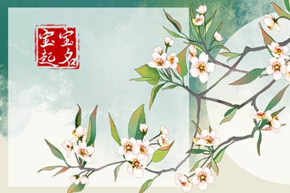 取名字生辰八字起名免费 起名字免费起名