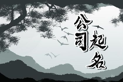 有趣的公司名称 好听罕见绝不重名的公司名称