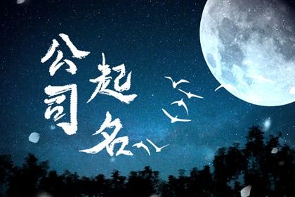 物流公司名称大全集最新 独特创意的公司名称