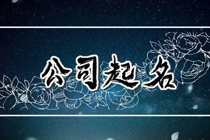 公司好名字大全免费查询最新版