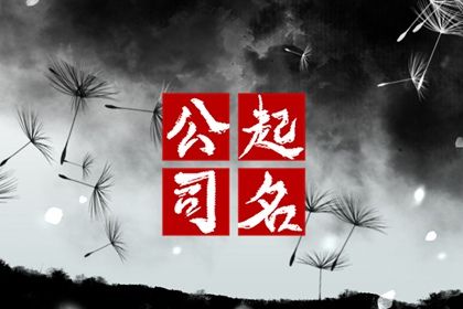 资产公司名字起名大全,投资公司取什么名字最好
