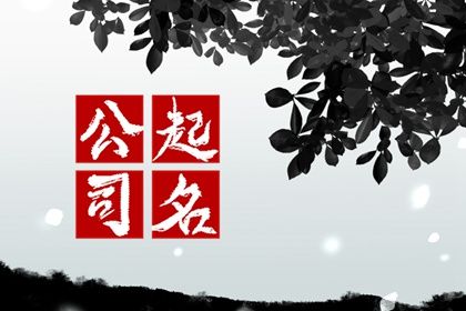 公司名字大全20000个两个字