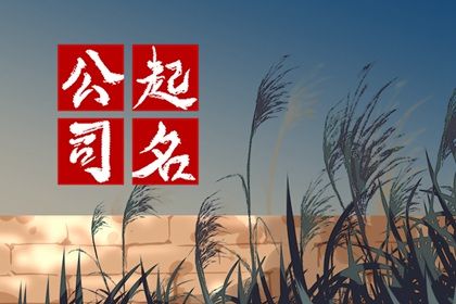 公司名称要怎么取才比较吉利 取公司名字大全免费查询