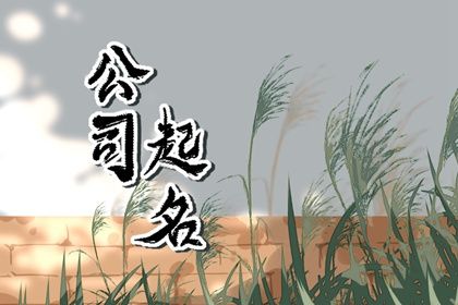 公司起名字大全免费四个字 四个字的公司名